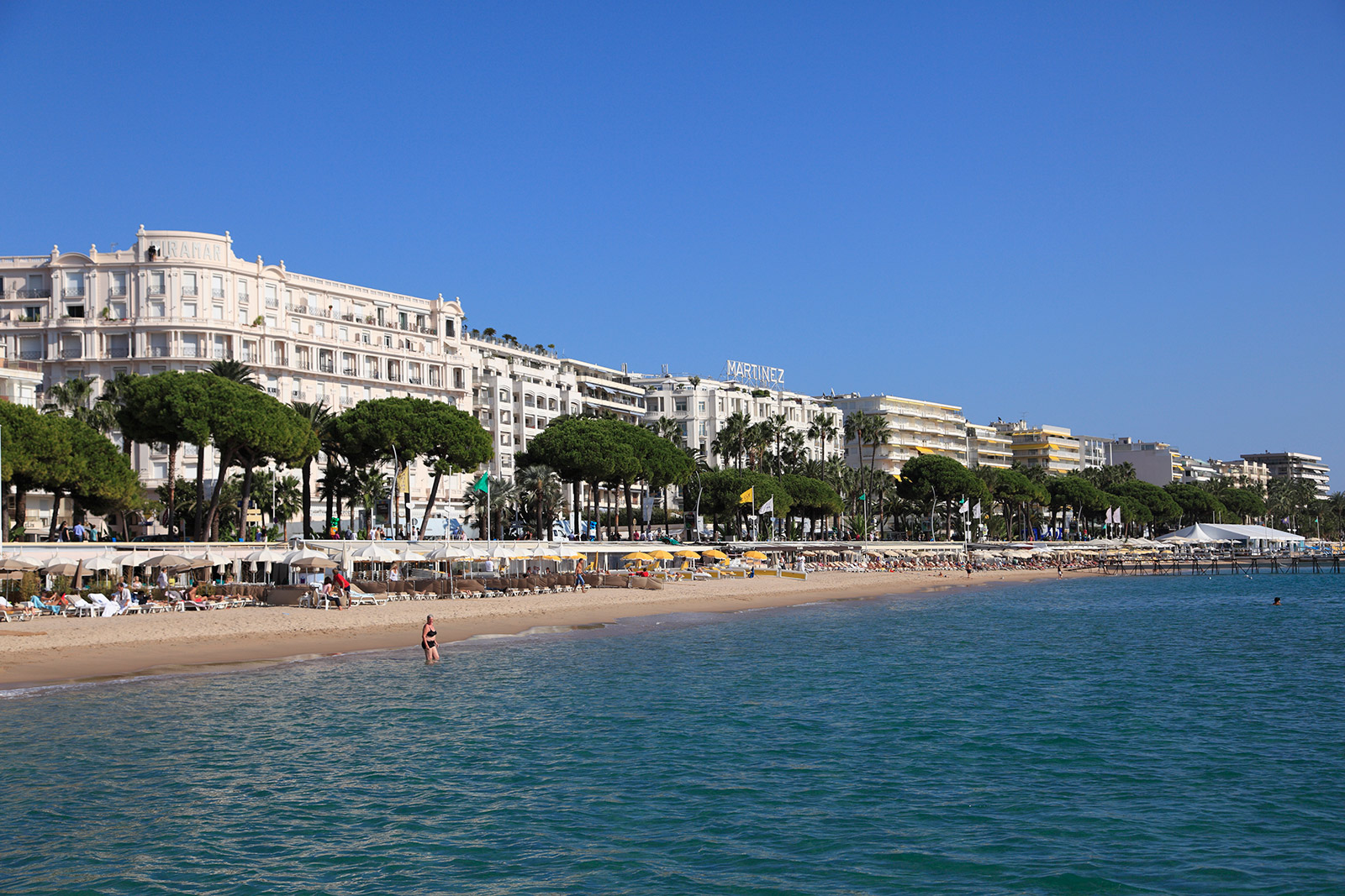 Love Letters to the Earth: Cannes, France